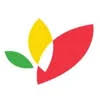 Logo Seeds of Africa