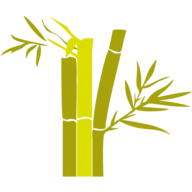 Logo WASP3D