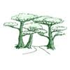 Logo Cedar Street Asset Management LLC