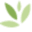 Logo Holden Forests & Gardens