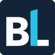 Logo Birch Lake Associates LLC