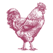 Logo EVR Foods, Inc.