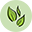 Logo Wingreens Farms Pvt Ltd.