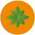 Logo Carrot Risk Technologies Ltd.