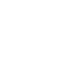 Logo Surge Private Equity LLC