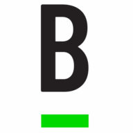 Logo Bridge Investment Group Holdings LLC