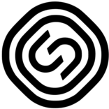 Logo Management Co. Segezha Group LLC