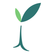 Logo Verisem BV