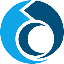 Logo Chordoma Foundation