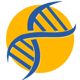 Logo Savran Technologies, Inc.