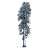 Logo Titan Grove Holdings LLC