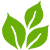Logo Victoria Foods Pvt Ltd.