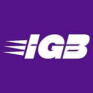 Logo Immersive Group Gaming Ltd.