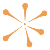 Logo Health Advancement Collaborative of Central New York, Inc.