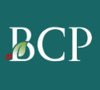 Logo Bayberry Capital Partners LP