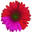 Logo B C Leisure Management Ltd.