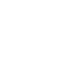 Logo The Electricity Network Co. Ltd.