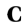 Logo Capital Law Ltd.
