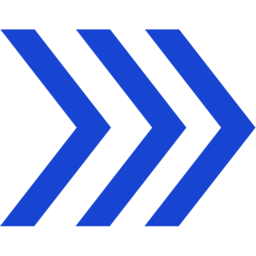 Logo Brightinsight Holdings, Inc.