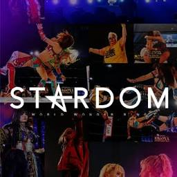 Logo Bushiroad Fight KK