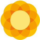 Logo Birmingham Children's Trust Community Interest Co.