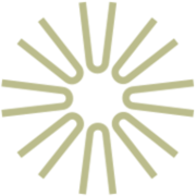 Logo NEQSOL Holding Azerbaycan Mmc