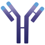 Logo Immunovant, Inc.