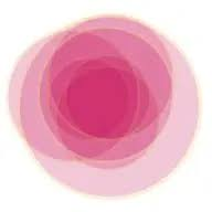 Logo Desai Foundation