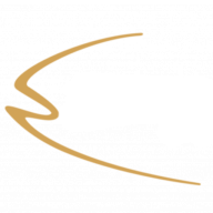 Logo Danish Salmon A/S