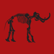 Logo Kommunale Netzgesellschaft Steinheim a. d. Murr Verwaltungs