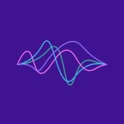 Logo Plum Research SA