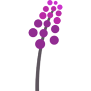 Logo Prilenia Therapeutics BV