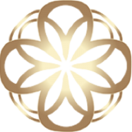 Logo SIBF VC