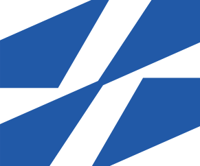 Logo Disa Technologies, Inc.