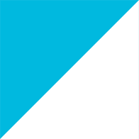 Logo Institut Mines-Télécom Business School