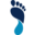 Logo Great Lakes Foot & Ankle Institute