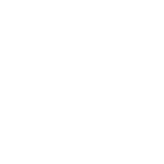 Logo Denarius Metals Corp.