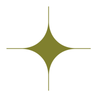 Logo The Newly Institute Inc.
