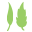 Logo Frontier Cooperative
