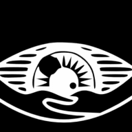 Logo Blind Institute of Technology