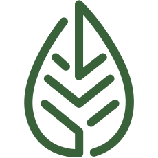 Logo Medical Saints Ltd.
