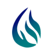 Logo Denison Gas Ltd.