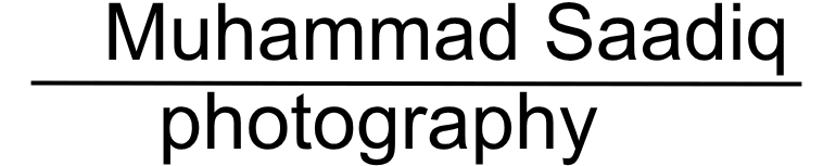 Logo About.me, Inc.