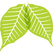 Logo Lung Cancer Canada