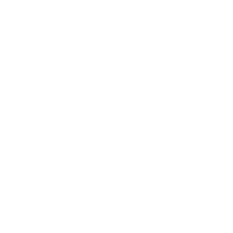Logo Scalens