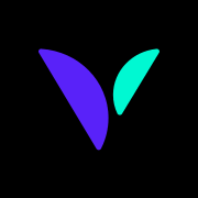 Logo Viably Capital, Inc.