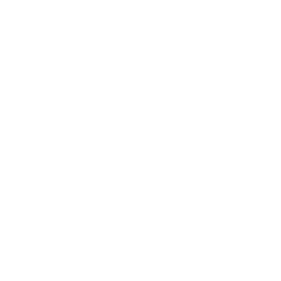 Logo Mammoth Brands LLC