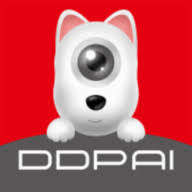 Logo DDPAI Technology Co., Ltd