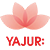 Logo Yajur Fibres Ltd.