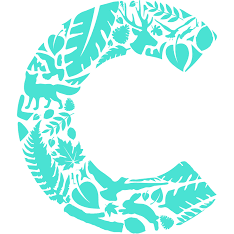 Logo Callirius AG